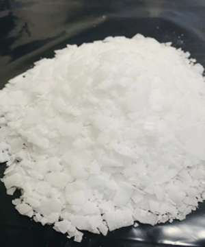 EVO真人 – 沉浸式娱乐履历的终极进化